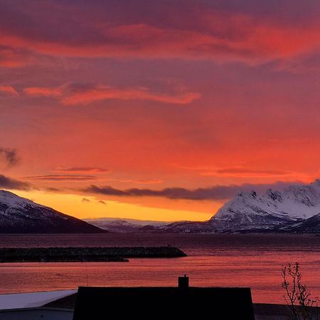 Loftsleilighet Midt I Sentrum Skjervoy Buitenkant foto