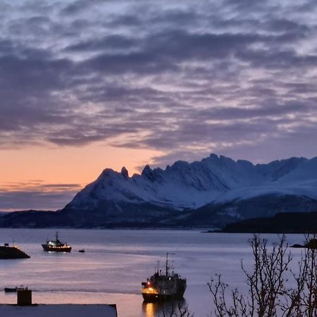 Loftsleilighet Midt I Sentrum Skjervoy Buitenkant foto