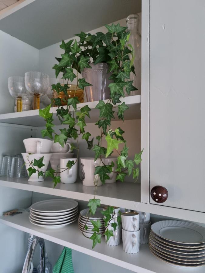 Loftsleilighet Midt I Sentrum Skjervoy Buitenkant foto