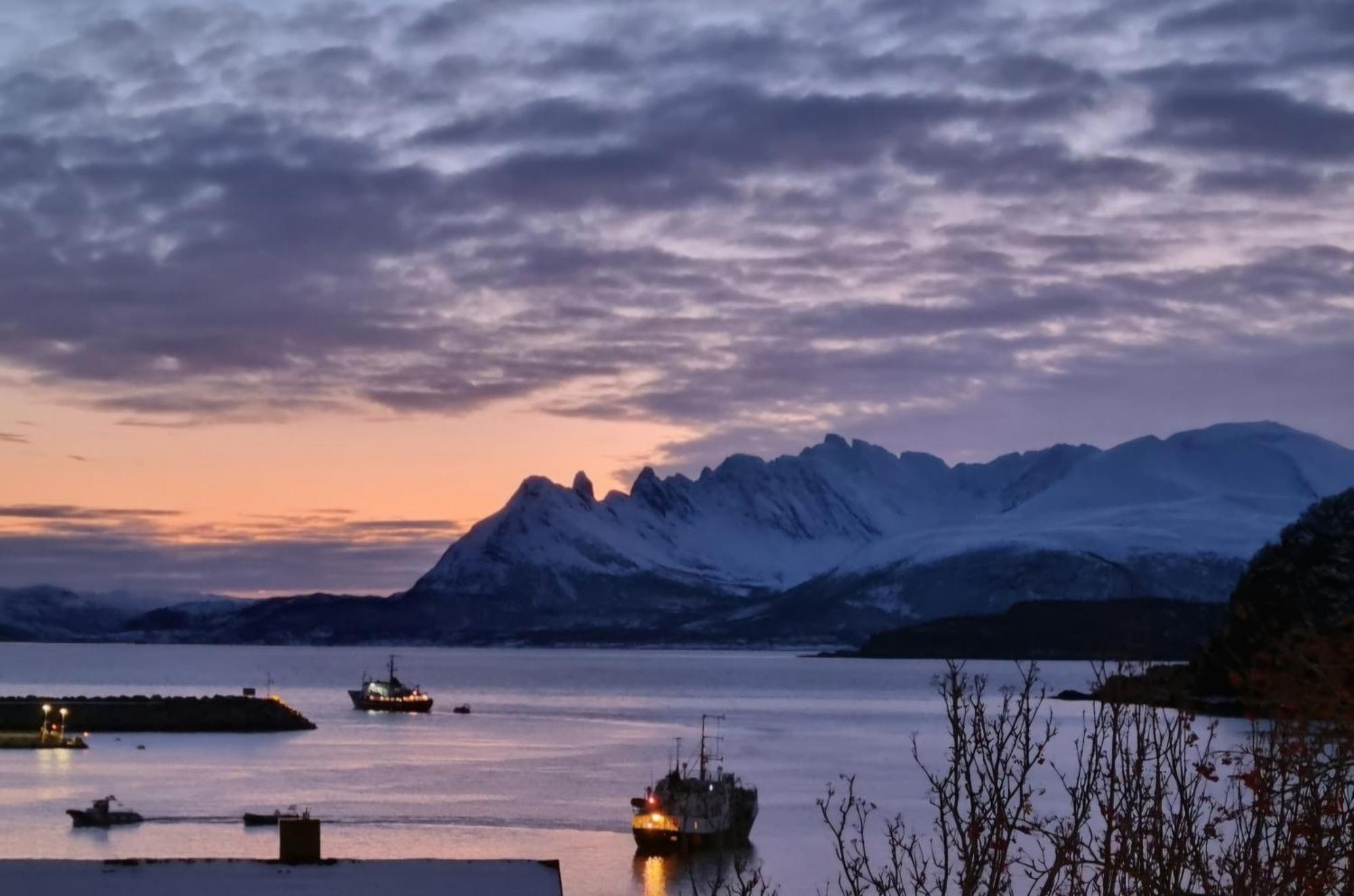 Loftsleilighet Midt I Sentrum Skjervoy Buitenkant foto